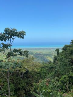 Casinha da Floresta - 8