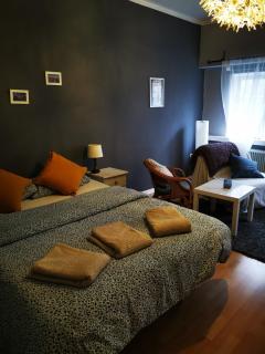 Gemütliches Apartment - Großenkneten - 3