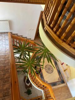 Panoramic Villa in Predeal - 5