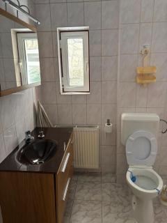 Panoramic Villa in Predeal - 3