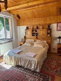 Panoramic Villa in Predeal - 4