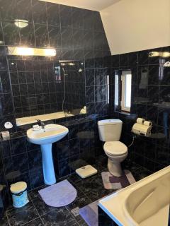 Panoramic Villa in Predeal - 3