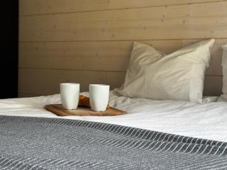 Himoskuutio 2, 4 hlö mökki porealtaalla, ei lisäkuluja! - 2