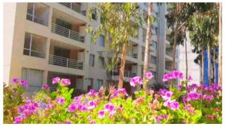 VR | Algarrobo Playa Mirasol 5PAX mar cerca, piscina, hermosa decoración, parking free - 1
