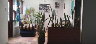 AylluWasi Guesthouse - 4