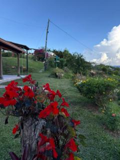 Finca Marinilla - Marinilla - 9