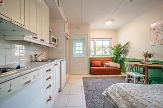 Levistar Arctic blueberry - 5