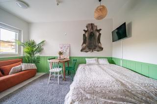 Levistar Arctic blueberry - 4