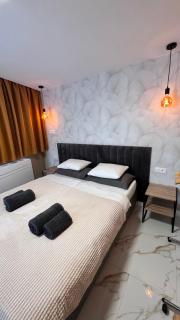 Las Americas Ponderosa 600 -  - 5