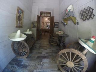 Hospedaje La Mexicana - Guadalajara - 7