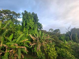 Quarto Casal na Praça Serra Grande - 6