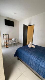 Casa Oasis Veracruzano - Veracruz - 7