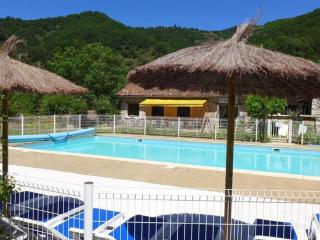 Mobil home 8 pers avec terrasse au Chambon de Vorey - API-1-52-428 - Vorey - 2