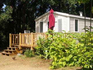 Mobil-home cosy pour 2 avec terrasse à Saint-Sornin - API-1-52-546 - 0