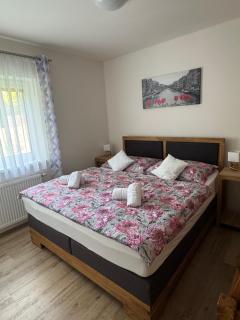 Apartmán s vyhlídkou - Horní Maršov - 8