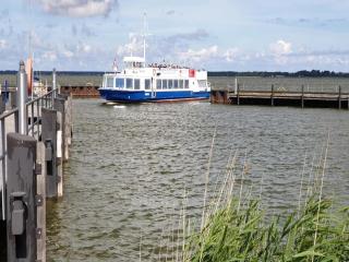 Reetdachhaus am Bodden mit Sauna, cleaning included - Fuhlendorf - 9