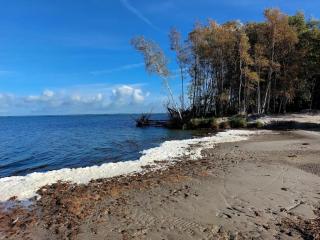 Reetdachhaus am Bodden mit Sauna, cleaning included - Fuhlendorf - 1
