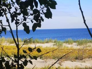 Ferienwohnung in der Mecklenburger Seenplatte, cleaning included - Buchholz - 6