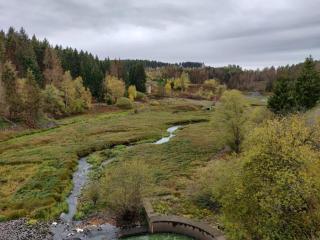 Doppelhaushälfte in Hasselfelde - Hasselfelde - 8