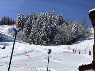 Résidence Prariond - Prariond 12 - Joli studio divisible 4 personnes , hameau Mottet MAE-1091 - Valmorel - 9