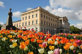 Royal Park Apartment Oslo City Center - 3