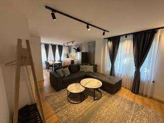 Bistrik Old Town Apartments Free Parking - Sarajevo - 5