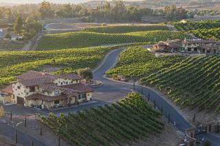 2 Homes in Bella Vista Rd by AvantStay Sleeps 8 Vineyard Views Patios Fireplace in Temecula Wine Trail - 6