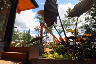 Slow Living Lodge- SPA - Pet friendly - 8
