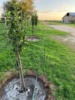 Luxurious African Farm Cottage stay in Vryburg - 1