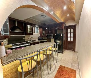 The Paradise Luxury Apartment at TenTon Zamalek - Kairo - 2