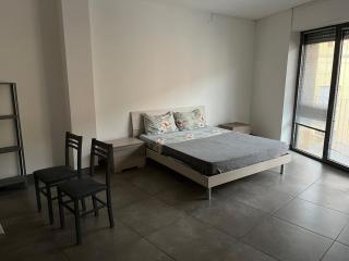 Barattularia House - Pisa - 1
