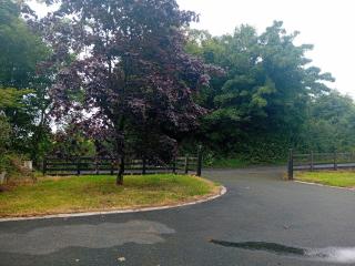 Drumeenagh Lodge - 2