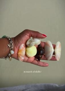 Sea garden - Old Bight - 9