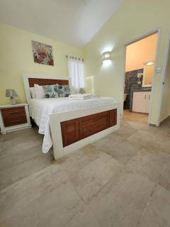 KERY-OASIS 2bdr with pool close to the Beach - Las Terrenas - 1