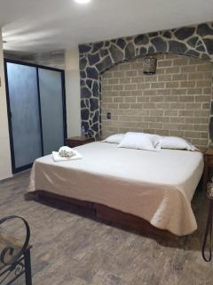 Hotel Spa el Gran Coral - San Juan Cosalá - 8
