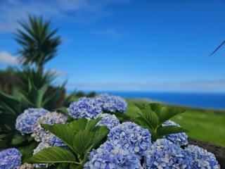 Ocean View - Nordeste - 0