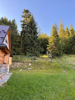 Terenowka Bacowka - Waksmund - 8