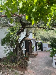 Finca Maran sfeervol familiehuis in Moorse stijl met zwembad - Comares - 0