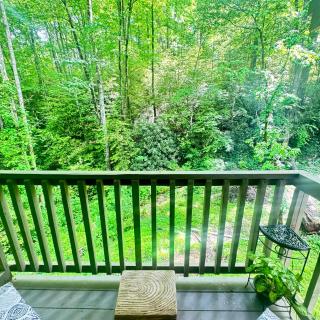Just Listed! THE GROTTO w In Suite Jacuzzi-Pets Welcome 420 Friendly Apartment - 5