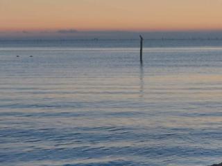 Seaside Serenity in Faldsled-By Traum - Millinge - 9