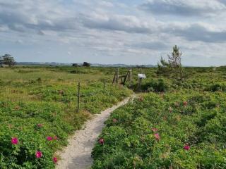 6 person holiday home in Højby-By Traum - 1