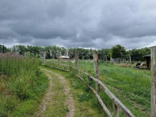 4 person holiday home in Grevinge-By Traum - 1