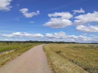 4 person holiday home in Rødby-By Traum - Rødby - 2