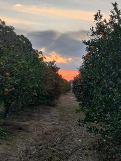 Santa Angela alojamiento de campo - 1