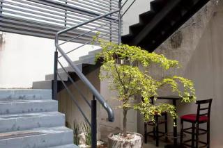 Belleza y Confort en el Centro GDL - 5