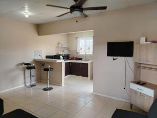 Hermosa residencia entre David y Boquete - 3