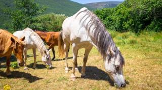 Casa Rural Calderón I - 4