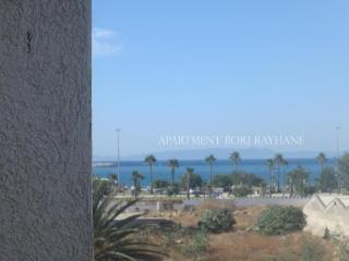 Borj Rayhane Apartments - Tanger - 4