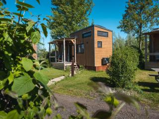 Holiday home in Scherpenzeel - Scherpenzeel - 8