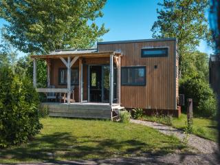 Holiday home in Scherpenzeel - 9